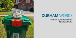 An image of a green bin at the curbside with batteries in a clear bag placed on top.