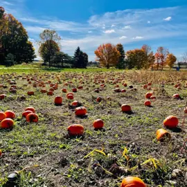 Brooks-Farm---Gather-at-the-Farm.jpg