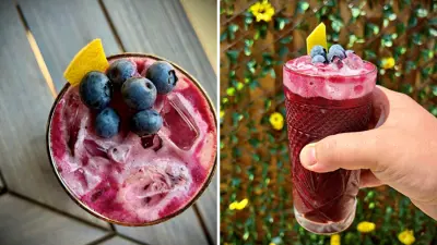 Pages-Platefuls---Blueberry-Citrus-Gin-Fizz.png