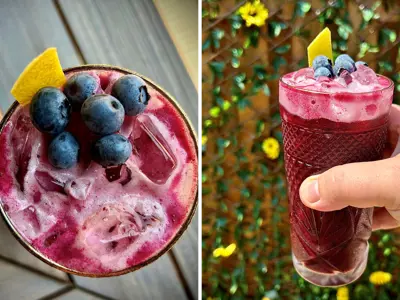 Pages-Platefuls---Blueberry-Citrus-Gin-Fizz.png