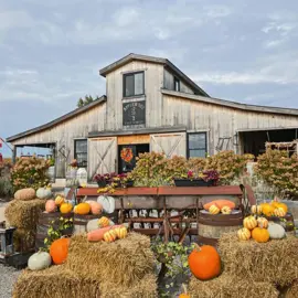 Applewood-Farm--Winery-Coopers-CSA-Farm---Gather-at-the-Farm-2.jpg