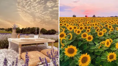 Flower-Farms---Durham-Tourism-Blog-Cover-2.png