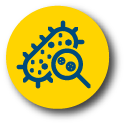 Magnifying glass and germ icon. Magnifying glass and germ icon.
