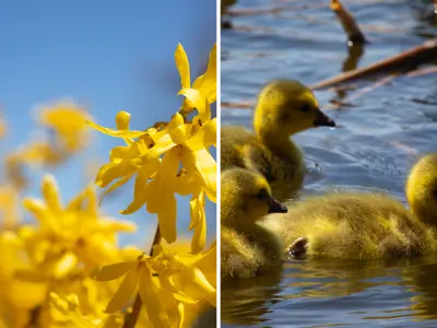 Second-Marsh---Blog-Cover-Photo.png