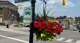 Durham Region Transit bus sign on street with flowers.
