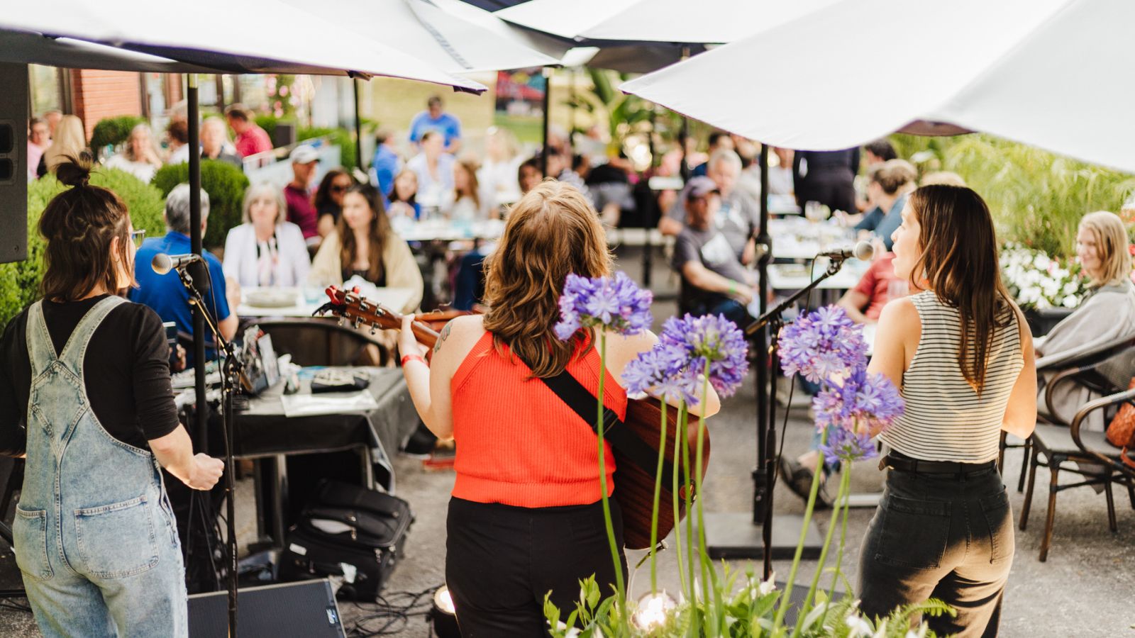 Three performers singing and playing instruments for a crowd