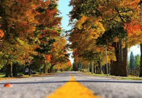 Fall-Road-Shot-Durham-Tourism-Insta.jpg