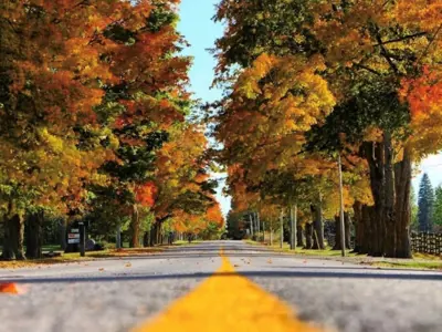 Fall-Road-Shot-Durham-Tourism-Insta.jpg