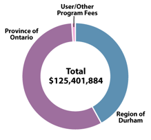 Pie chart showing Health Department revenues by source.