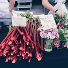 Local-Food---Lifestyle.jpg