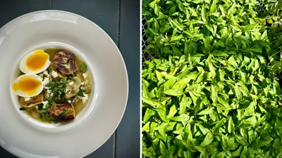 Chef-Alex-Page-Recipe---Spring-Butter-Bean-Stew---Durham-Tourism-Blog-Cover-Transparent.png
