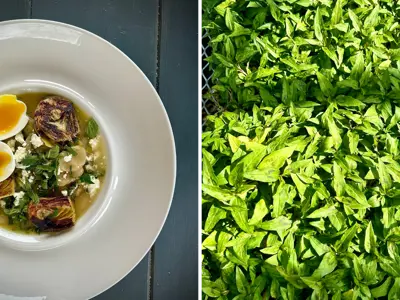 Chef-Alex-Page-Recipe---Spring-Butter-Bean-Stew---Durham-Tourism-Blog-Cover-Transparent.png