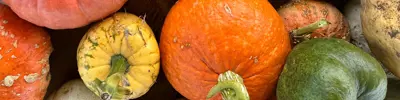 gather-durham-region-pumpkin-banner.jpg