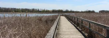 Banner-Lynde-Shores.jpg