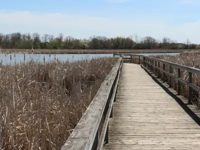 Banner-Lynde-Shores.jpg