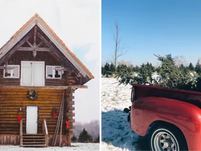 Christmas-Tree-Farms---Durham-Tourism-Blog-Cover.png