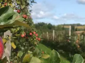 Web-700-525-Natures-Bounty.jpg