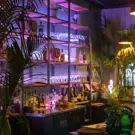 Tropical-Restaurants---Lifestyle.jpg