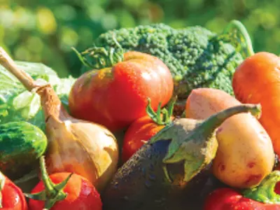 Harvest garden