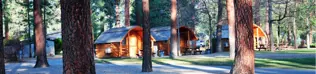 Cabins in the woods.