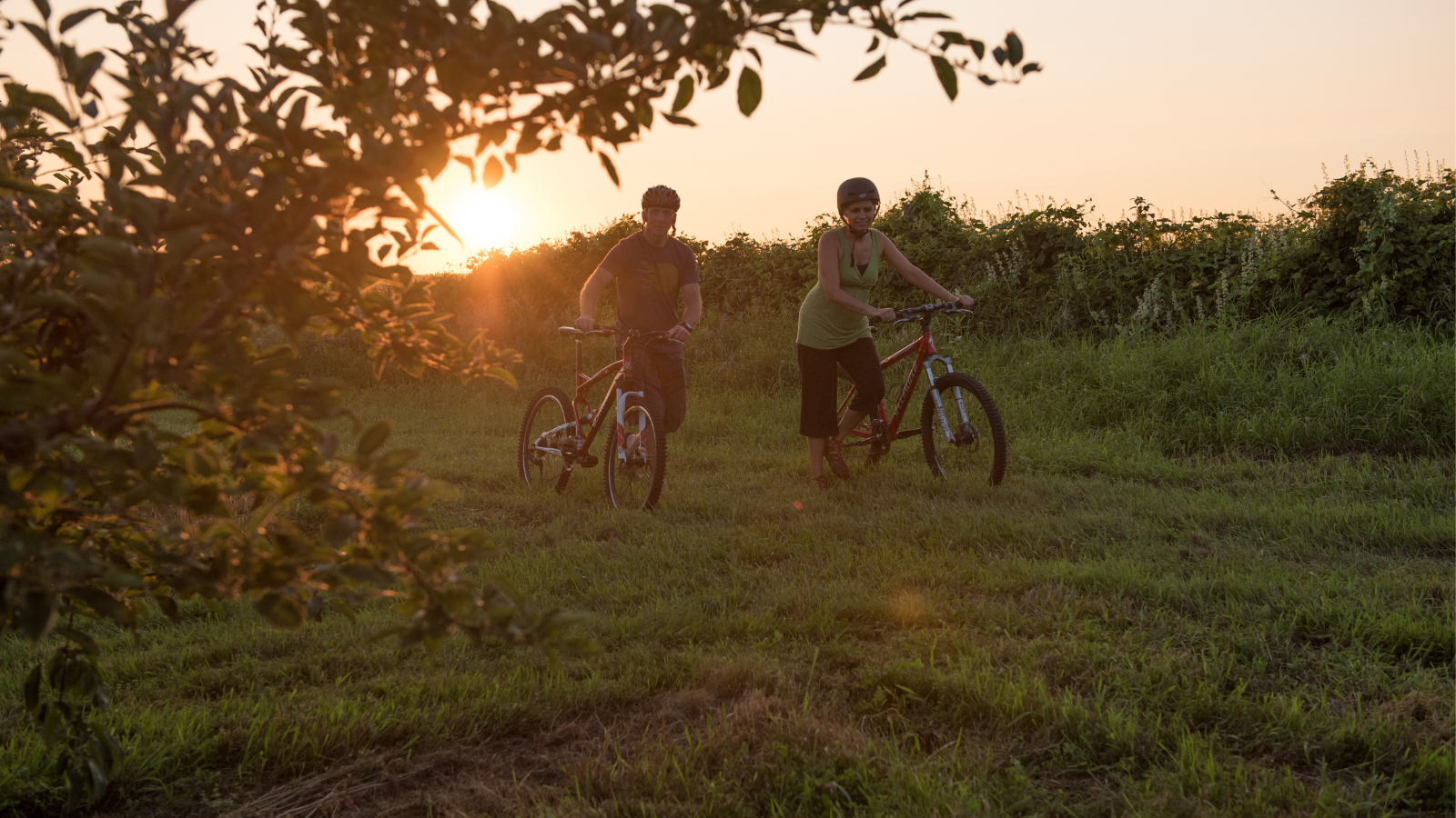 Cyclists walking their bikes through a field at sunset