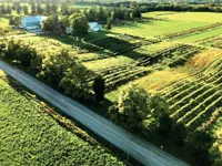 sideroads-scugog-800x600.jpg