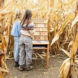 Buzzing-Bees-Adventure-Farm---Gather-at-the-Farm-3.jpg